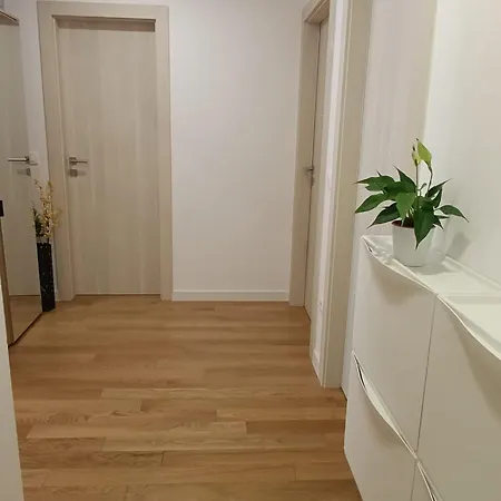 Tonka * Zára